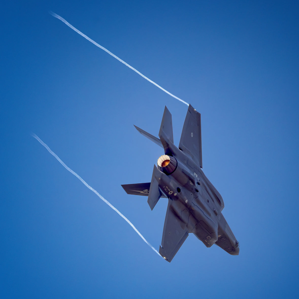 F 35 nose up Poster och Canvastavla
