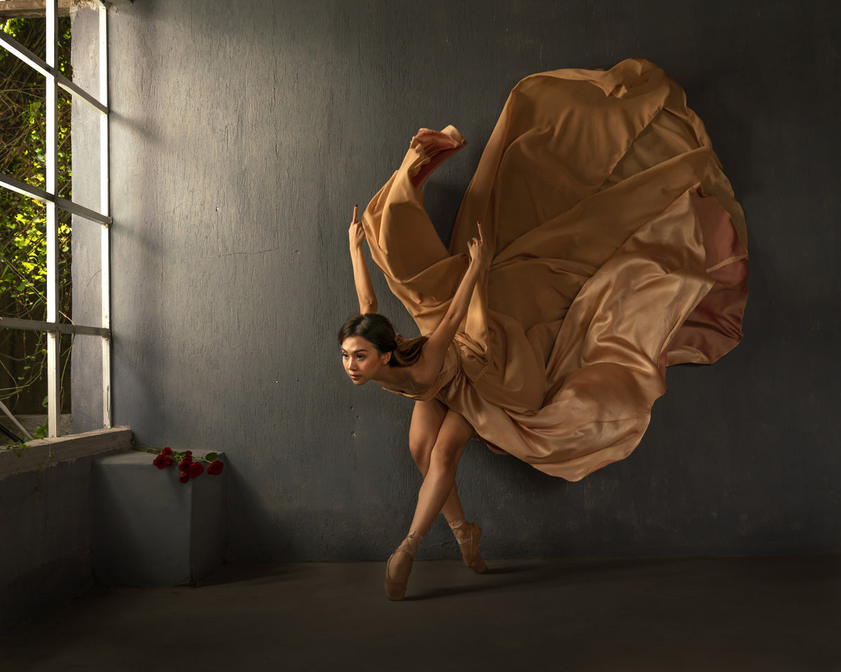 Ballerina Poster och Canvastavla