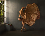 Ballerina Poster och Canvastavla