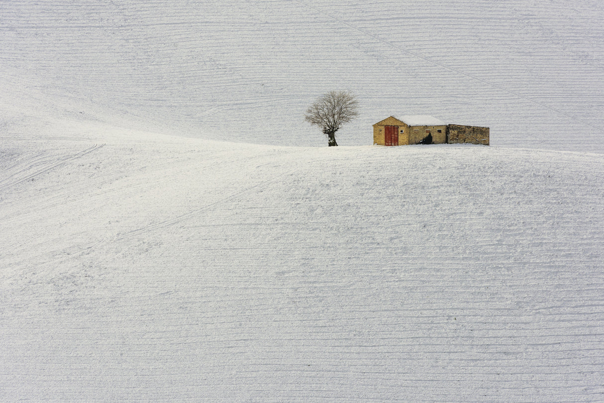 Winter has arrived Poster och Canvastavla