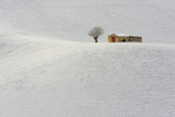 Winter has arrived Poster och Canvastavla
