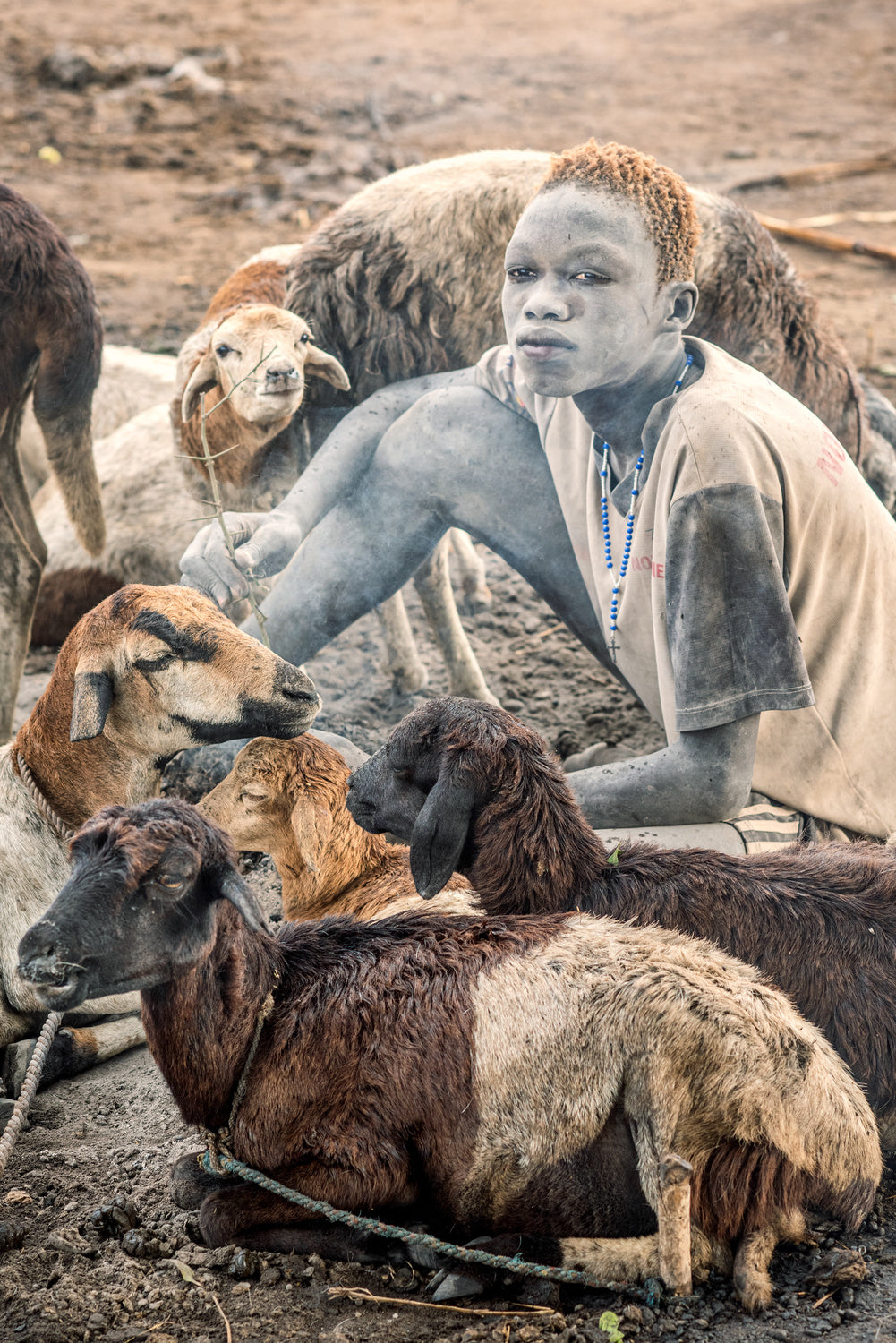 Mundari shepherd Poster och Canvastavla