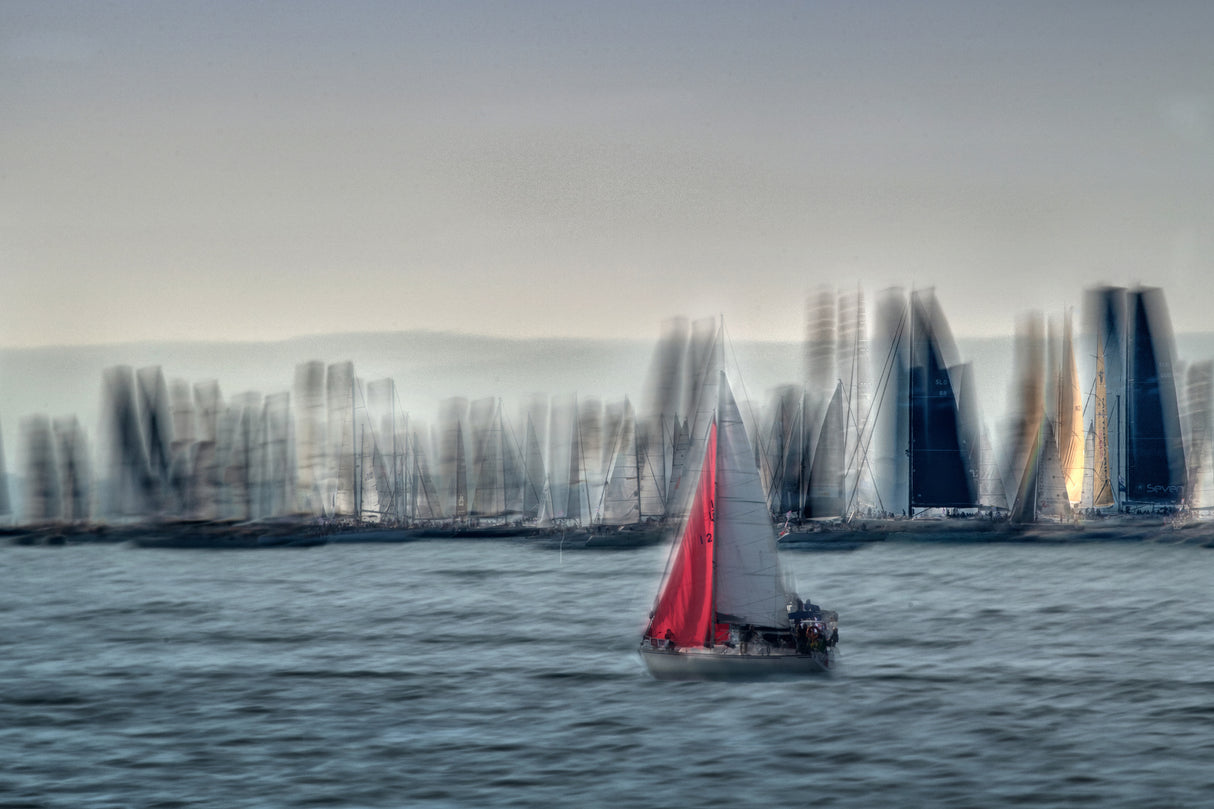 regatta Poster och Canvastavla