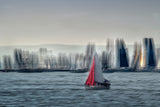 regatta Poster och Canvastavla
