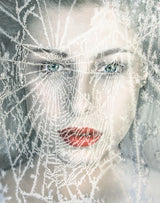 Ice queen Poster och Canvastavla