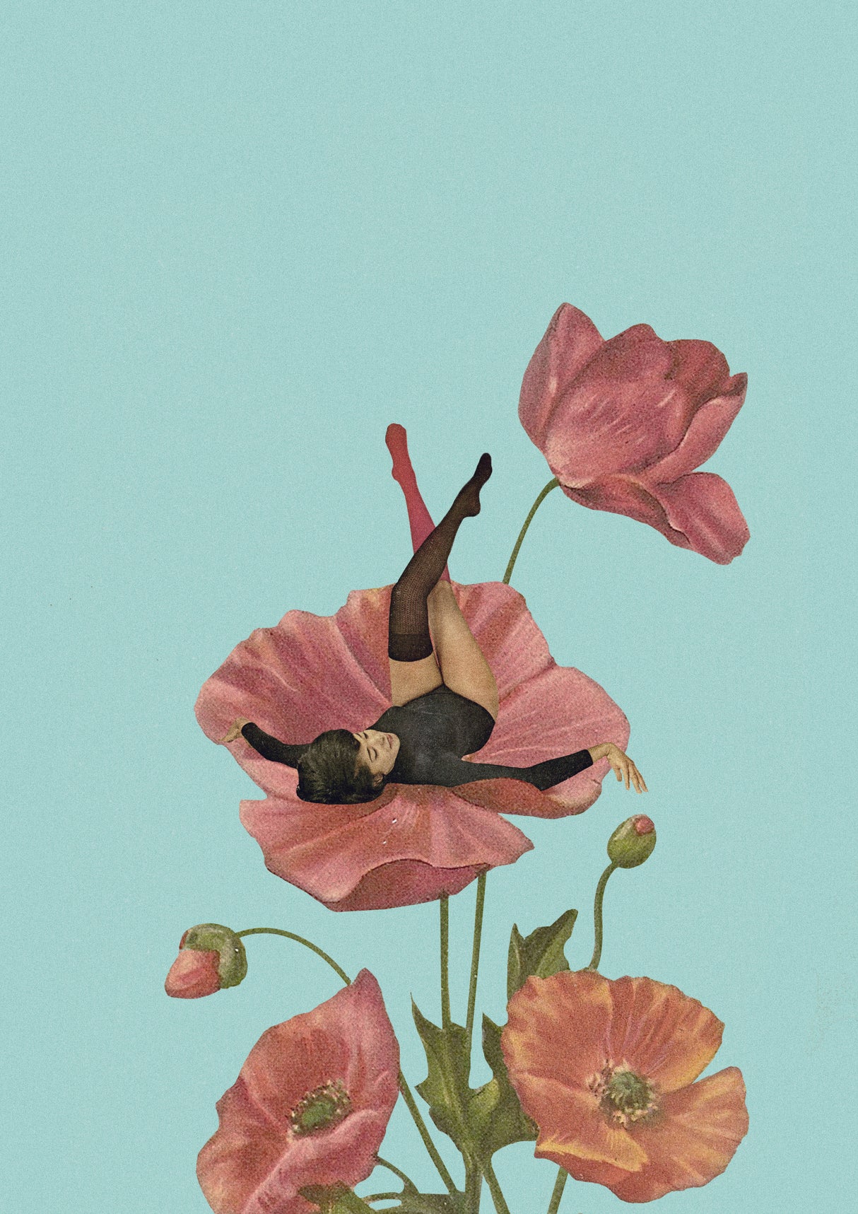 Colourful Dreamer Poster och Canvastavla
