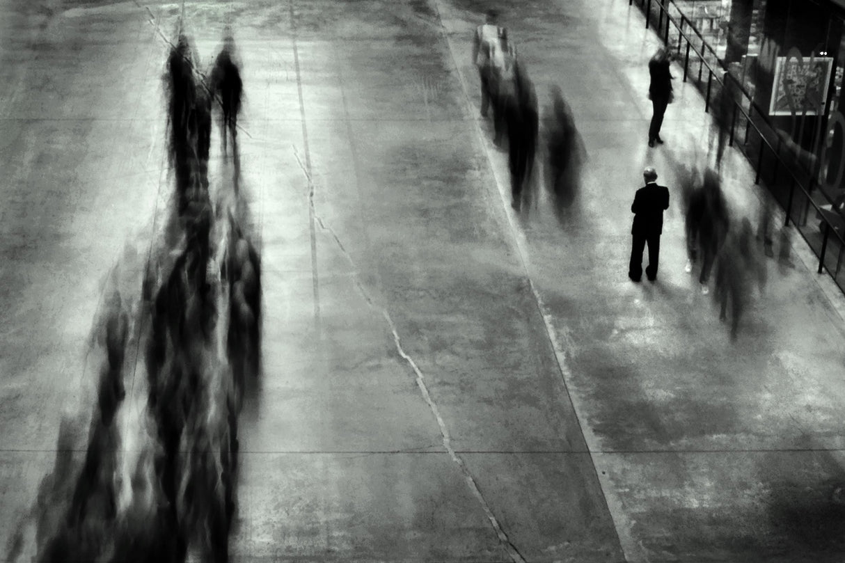 Alone in a crowd Poster och Canvastavla