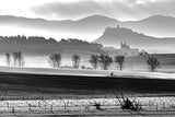 Early spring under castle Poster och Canvastavla