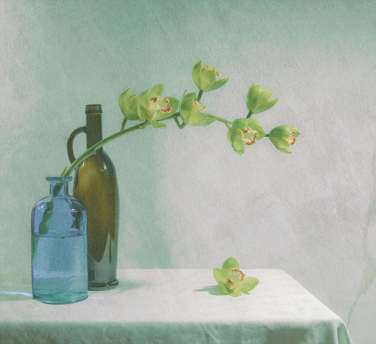 Beginning of Spring Poster och Canvastavla