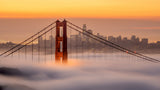 Karl, the San Francisco Fog Poster och Canvastavla