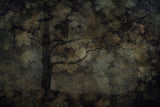 Dark forest Poster och Canvastavla