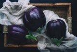 Eggplants Poster och Canvastavla