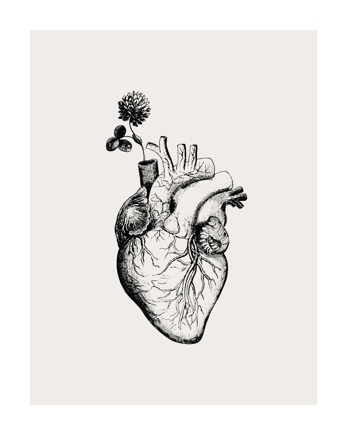 Heart Bloom Poster och Canvastavla