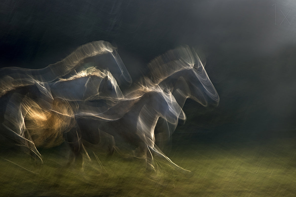 echoing in motion Poster och Canvastavla