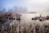 Winter in Bavaria Poster och Canvastavla