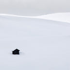 Minimalista Poster och Canvastavla