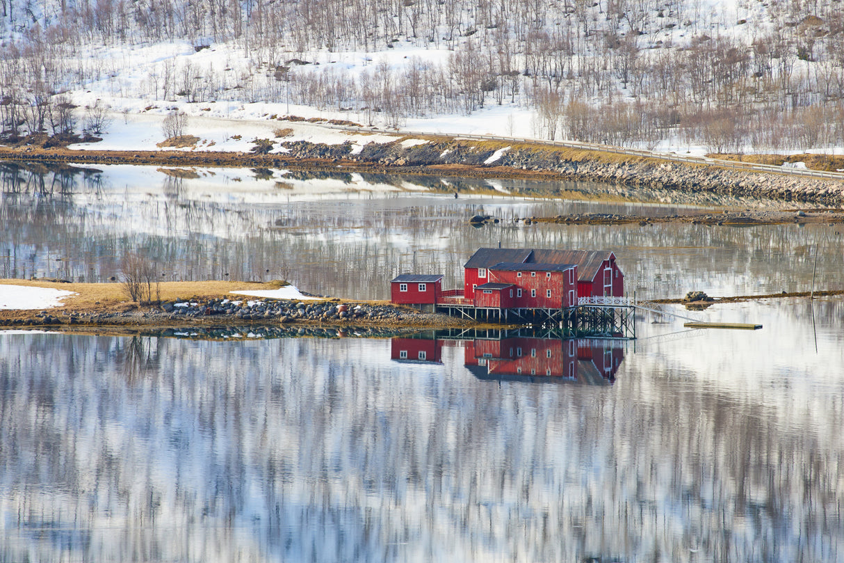 nature silence Poster och Canvastavla