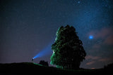 The Sky Painter Poster och Canvastavla