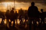 Golden moment in the city Poster och Canvastavla