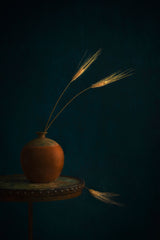 Golden Wheat Poster och Canvastavla