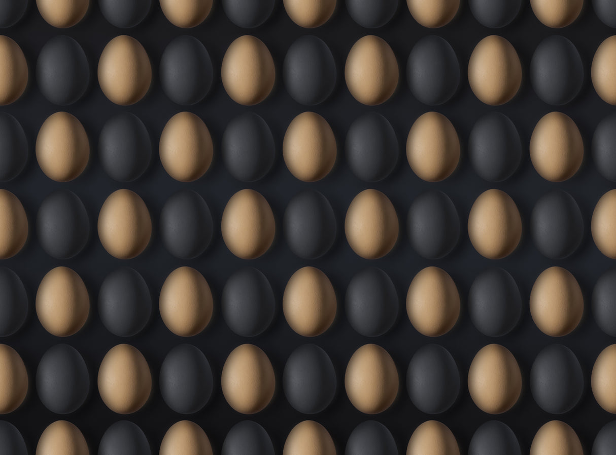 EGG Poster och Canvastavla