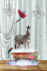 Zebra Parrots &amp; Bubbles Poster och Canvastavla