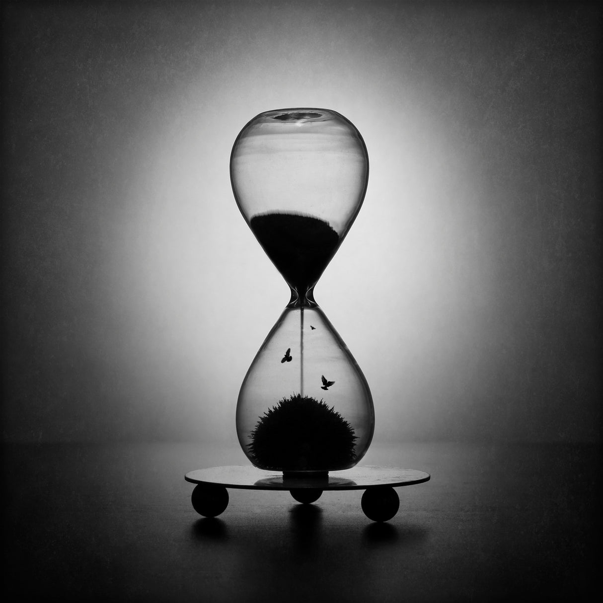 The inexorable passage of time Poster och Canvastavla