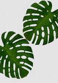 Monstera Leaf II Poster och Canvastavla