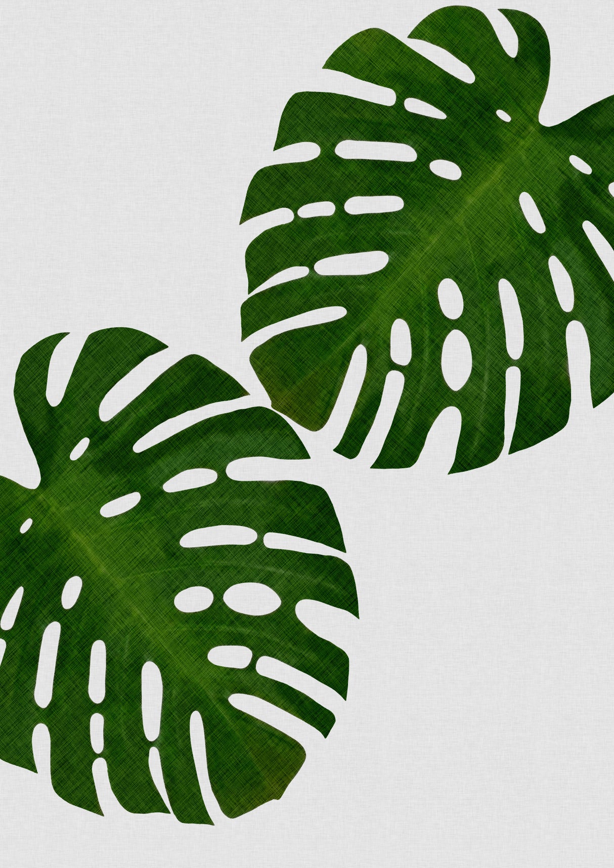 Monstera Leaf II Poster och Canvastavla