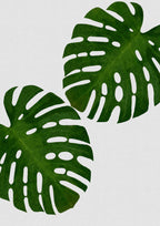 Monstera Leaf II Poster och Canvastavla