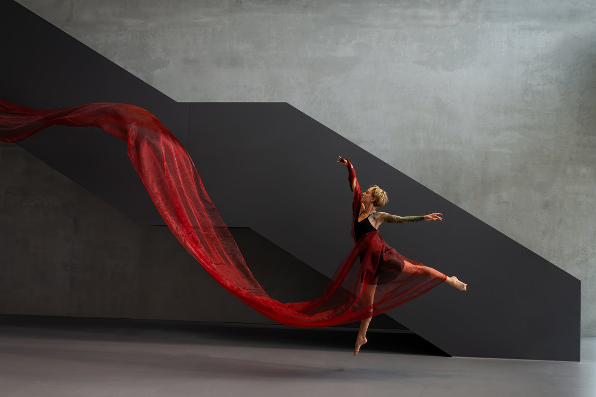 red dancer 2 Poster och Canvastavla