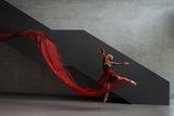red dancer 2 Poster och Canvastavla