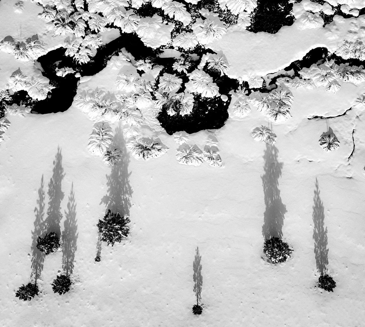The Shape of Winter Poster och Canvastavla
