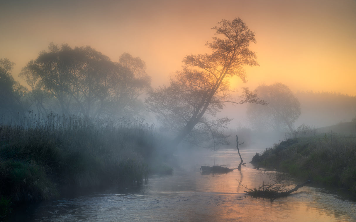 Misty river Poster och Canvastavla