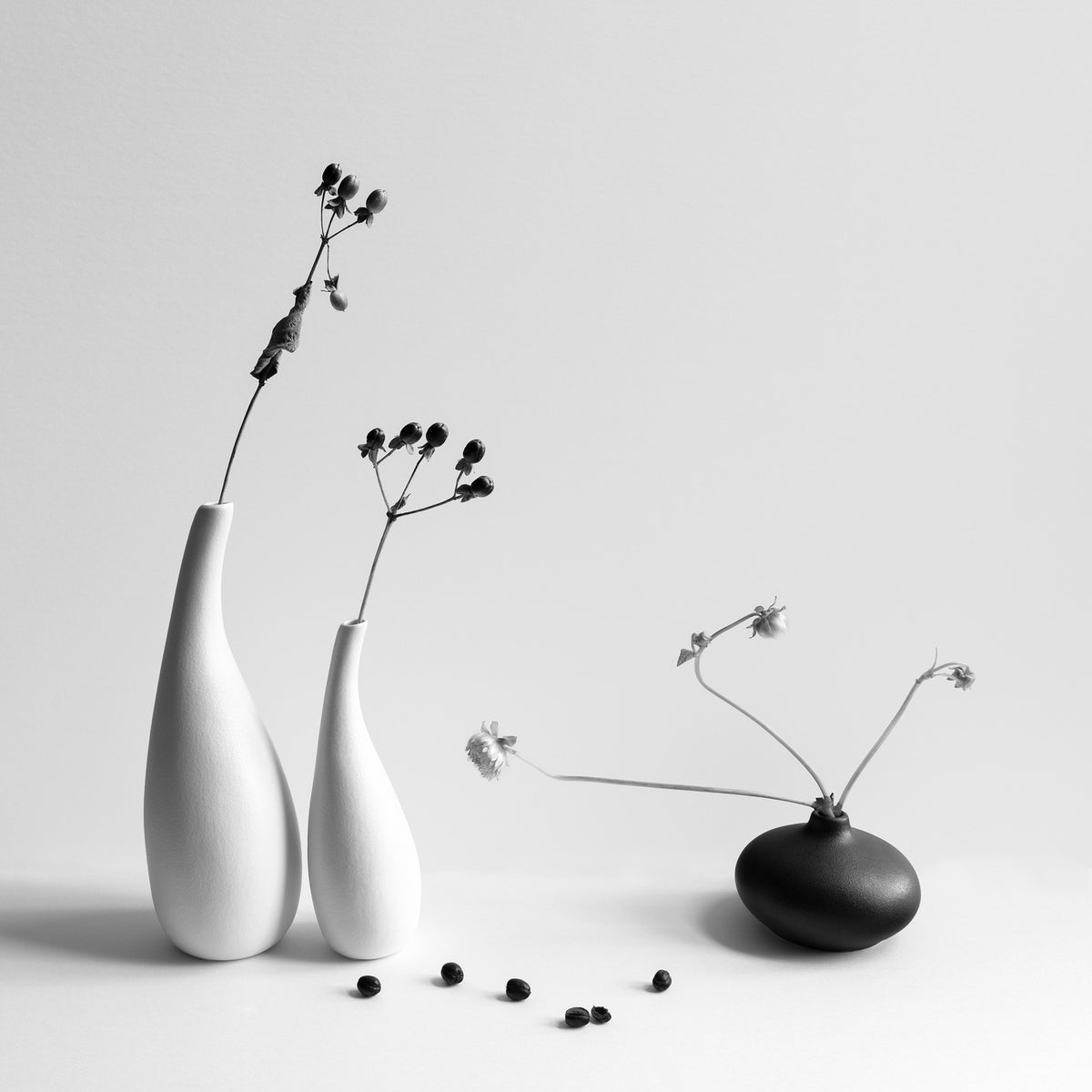Black and White Poster och Canvastavla