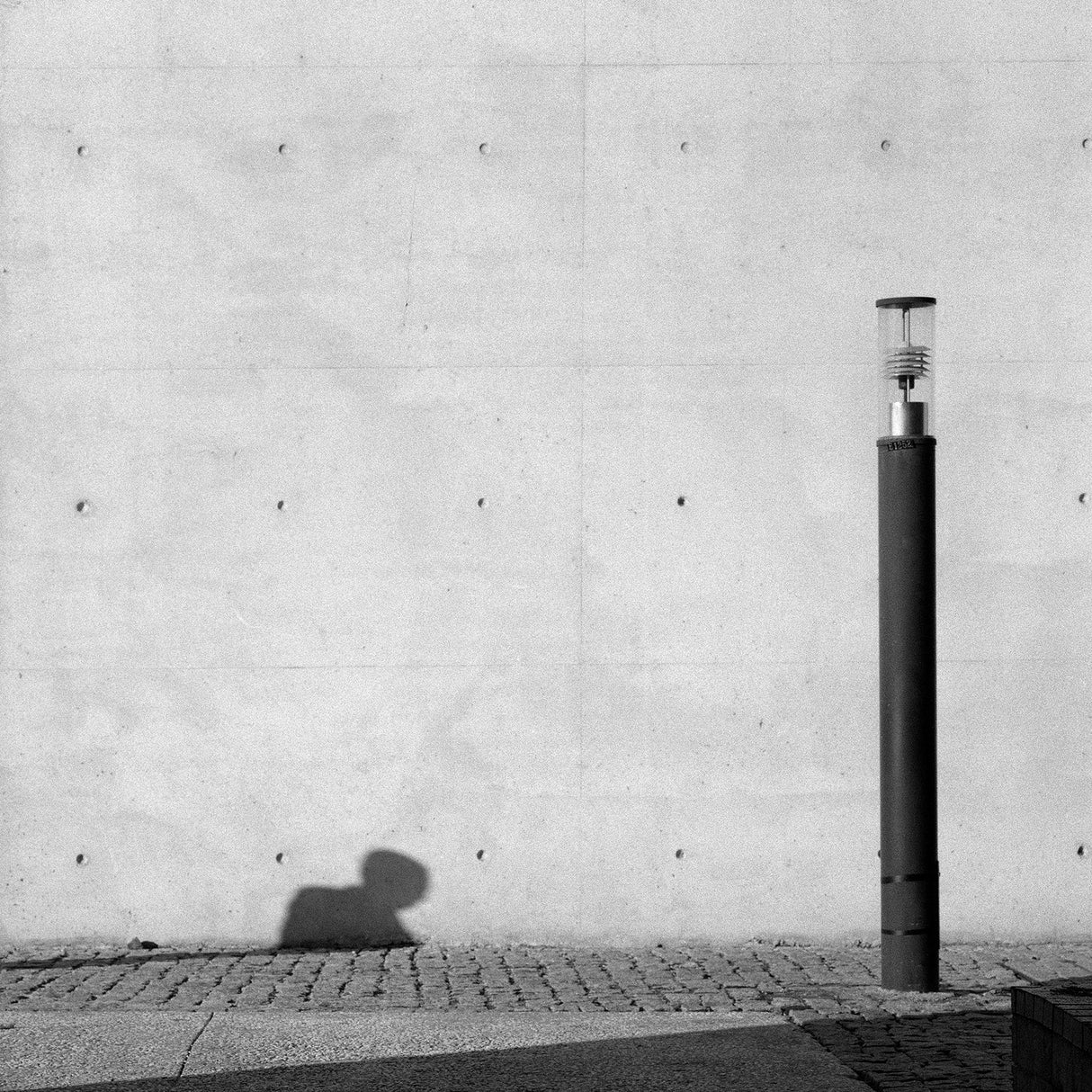 Mr. X Poster och Canvastavla