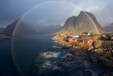 in the rainbow Poster och Canvastavla