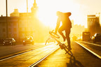 Flatland Poster och Canvastavla