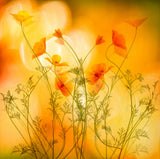 in motion Poster och Canvastavla