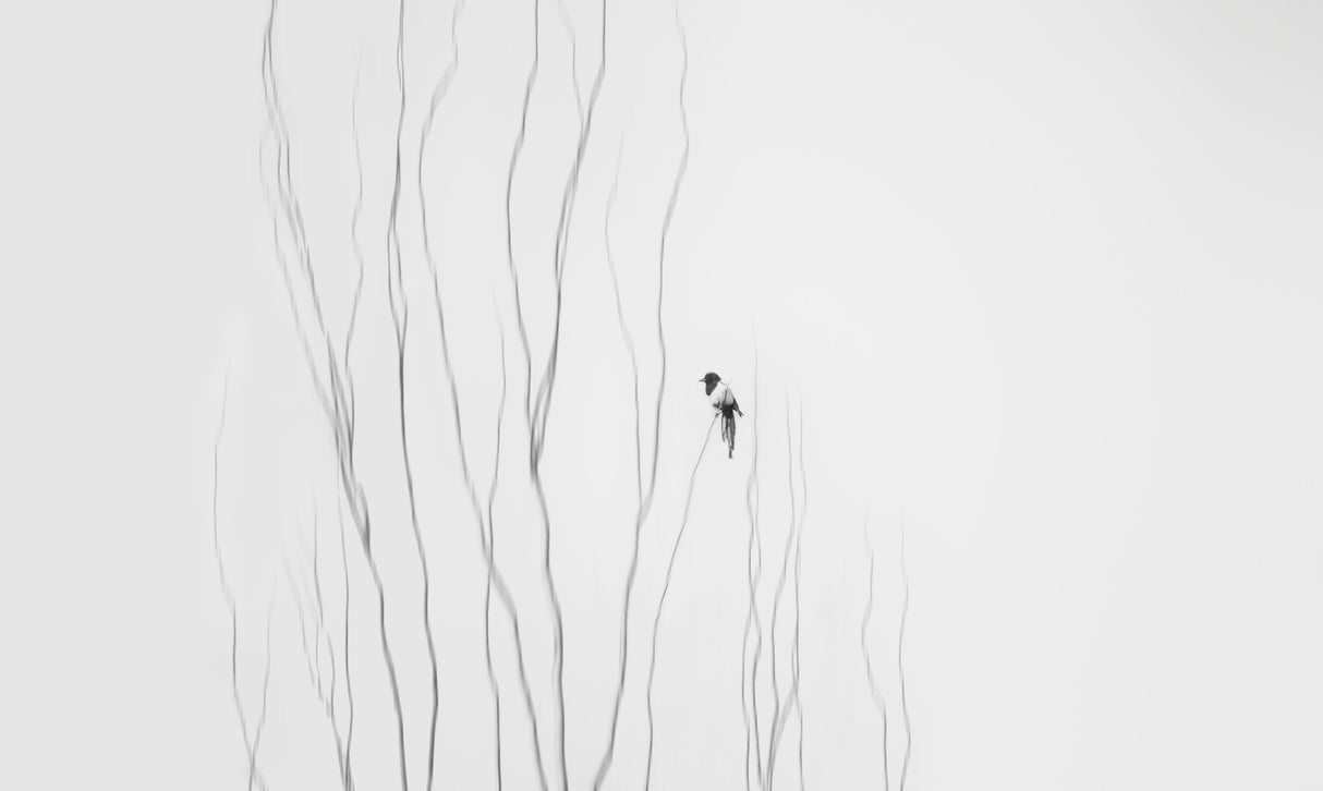 Winter Moment Poster och Canvastavla