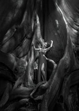 Woman and The Old tree Poster och Canvastavla