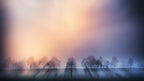 Dark Autumn Poster och Canvastavla