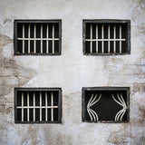 Rideau de prison Poster och Canvastavla