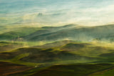 Golden Morning-Palouse Poster och Canvastavla