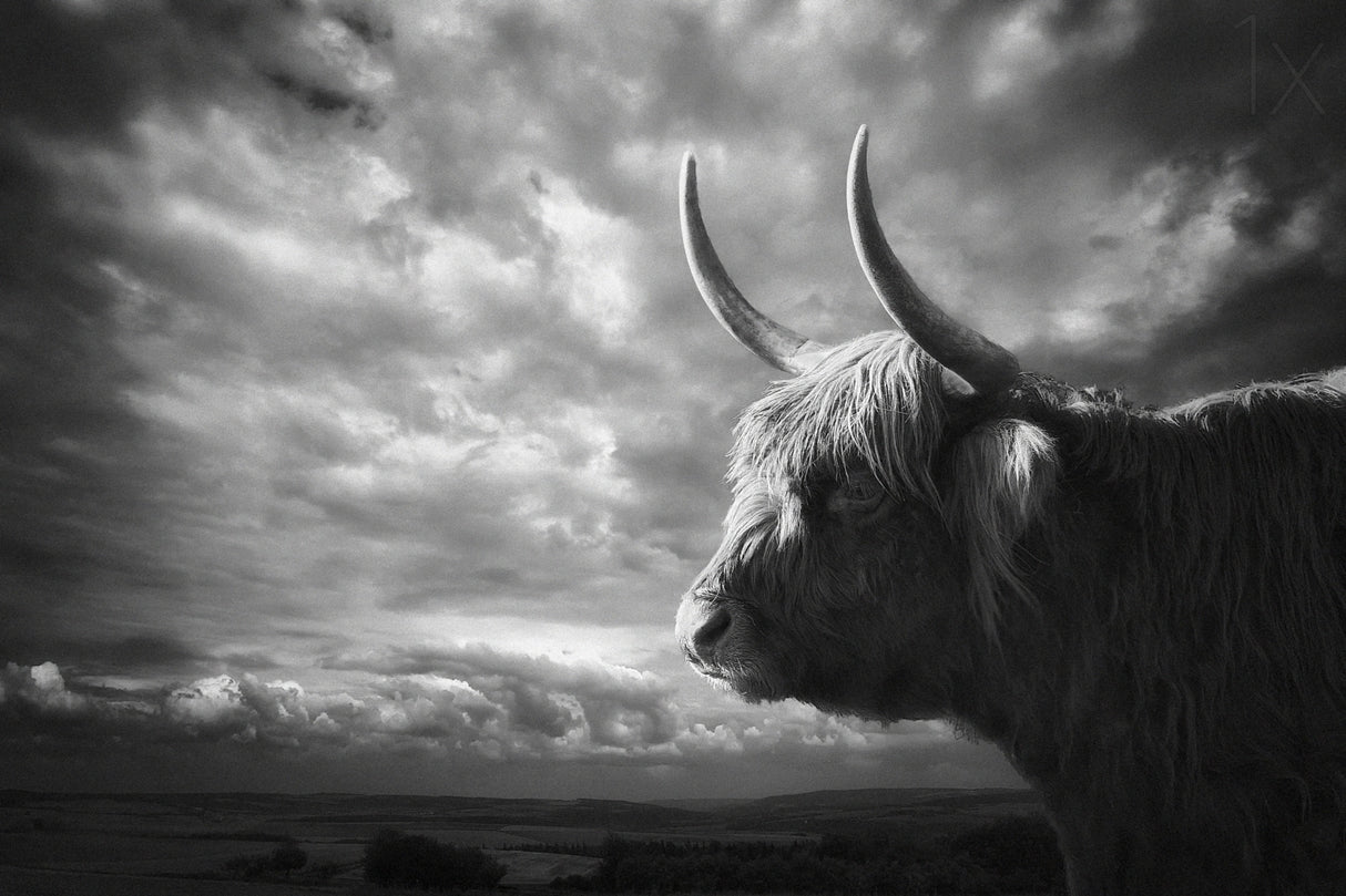 the Highlands Poster och Canvastavla