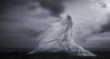 Ocean's Bride Poster och Canvastavla