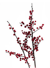 Red Berries 2 Poster och Canvastavla