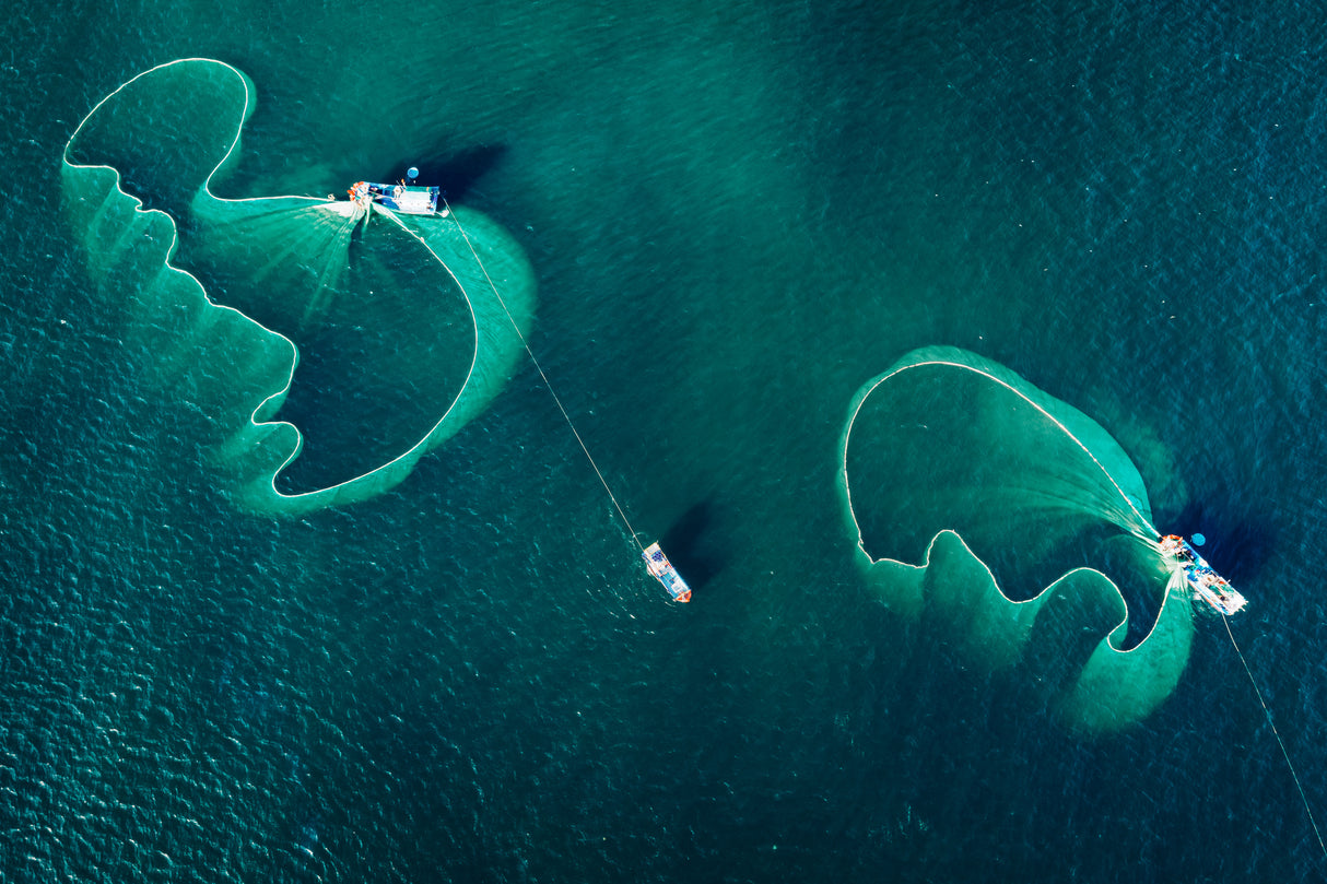 Catch fish in the sea Poster och Canvastavla