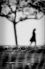 Watch Her Disappear Poster och Canvastavla