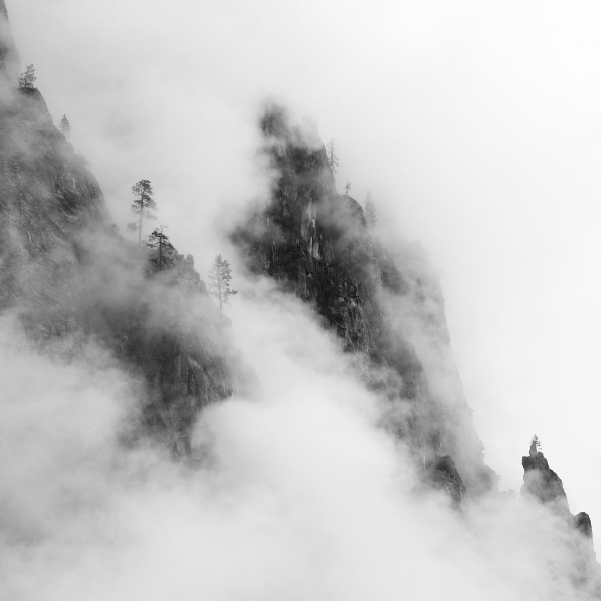 Foggy Mountain Poster och Canvastavla
